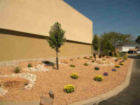 Commercial landscaping by Rising Sun Landscaping & Maintenance