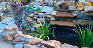 Water feature, pond, waterfall, with water plants