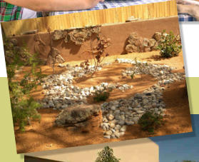 Lizard designs on ground with rocks that is mirrored by lizard designs on walls,  by Rising Sun Landscaping & Maintenance