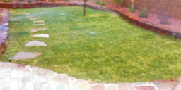 Landscaping and sod installation by Rising Sun Landscaping & Maintenance