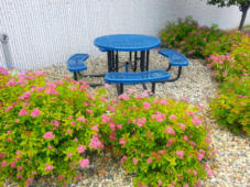 Business break area with table and plants