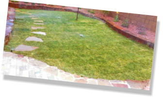 grass sod in back yard landscaping