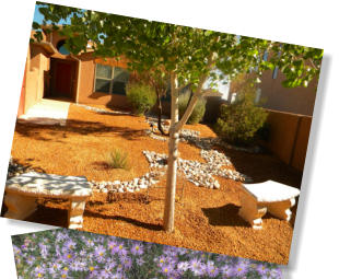 Xeriscaping can be both beautiful and conserve water.