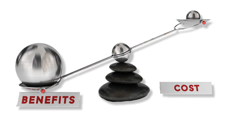 Balance cost and benefit in lanscape design and construction.